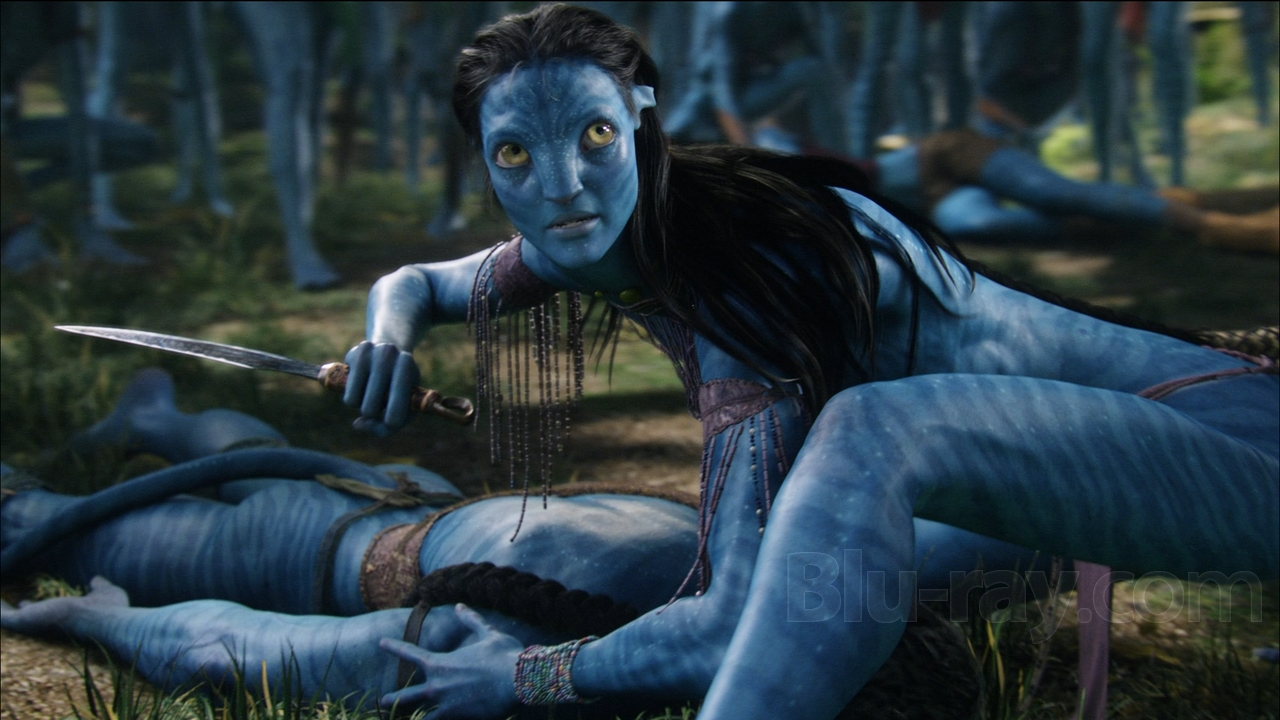 Photo from Avatar